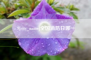 大理全国消防日哪一