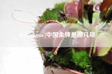 大理中国金牌是哪几项