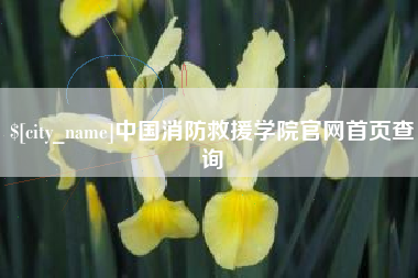 大理中国消防救援学院官网首页查询