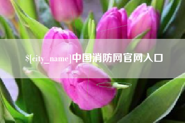 大理中国消防网官网入口