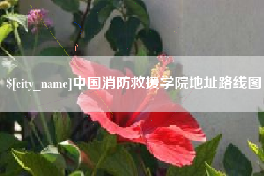 大理中国消防救援学院地址路线图