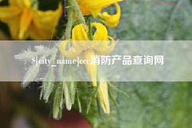 大理ccc消防产品查询网