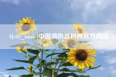 大理中国消防器材网官方网站
