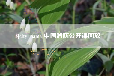 大理中国消防公开课回放
