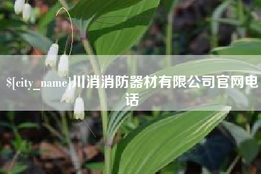 大理川消消防器材有限公司官网电话