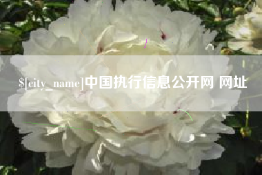 大理中国执行信息公开网 网址