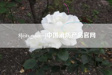 大理中国消防产品官网