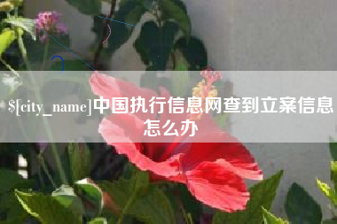 大理中国执行信息网查到立案信息怎么办