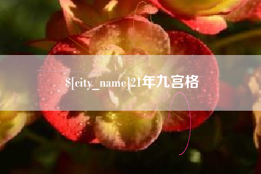大理21年九宫格