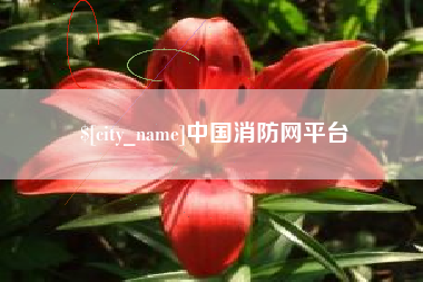 大理中国消防网平台