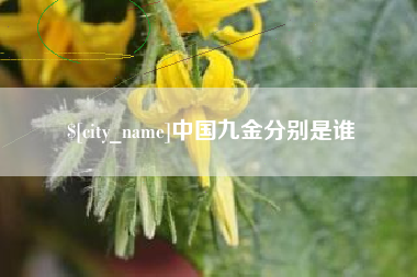 大理中国九金分别是谁