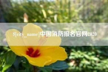 大理中国消防报名官网2020