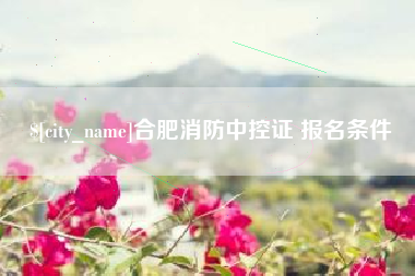 大理合肥消防中控证 报名条件