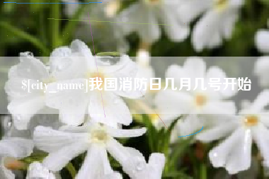 大理我国消防日几月几号开始