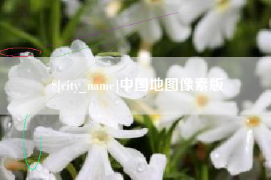大理中国地图像素版