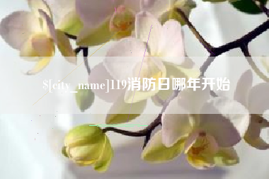大理119消防日哪年开始