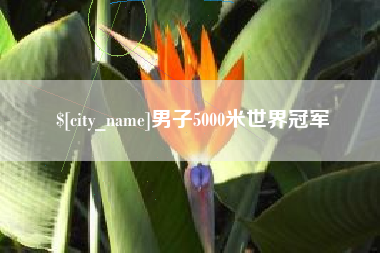 大理男子5000米世界冠军