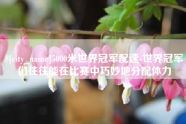 大理5000米世界冠军配速-世界冠军们往往能在比赛中巧妙地分配体力