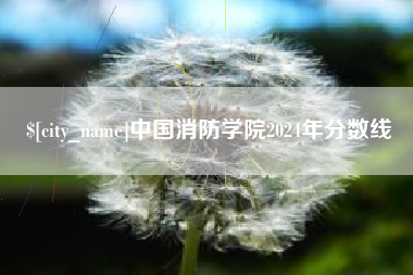 大理中国消防学院2024年分数线