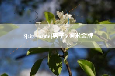 大理男子5000米金牌