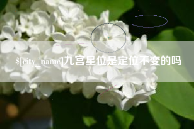 大理九宫星位是定位不变的吗