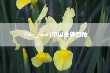大理中国金牌包括