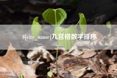 大理九宫格数字排序