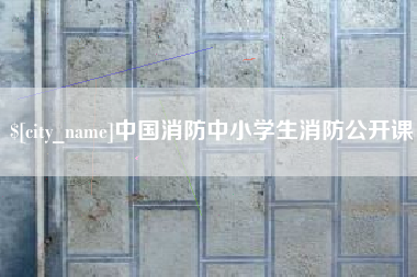 大理中国消防中小学生消防公开课