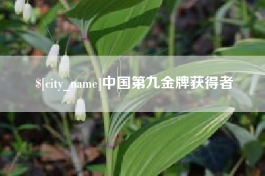 大理中国第九金牌获得者