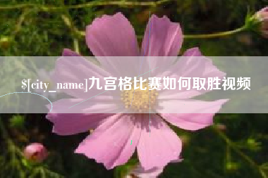大理九宫格比赛如何取胜视频