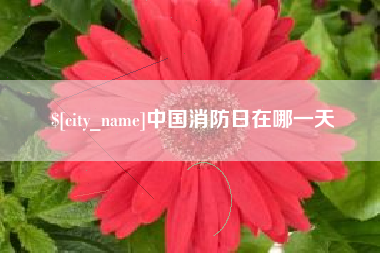 大理中国消防日在哪一天