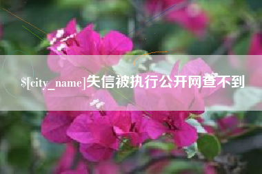 大理失信被执行公开网查不到