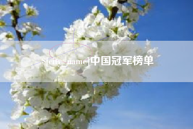 大理中国冠军榜单