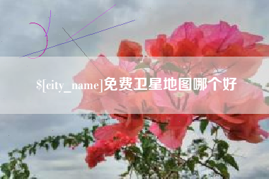 大理免费卫星地图哪个好