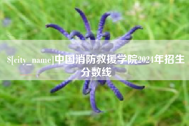 大理中国消防救援学院2024年招生分数线