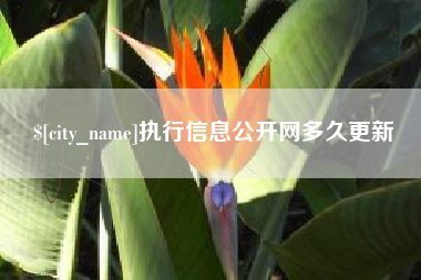 大理执行信息公开网多久更新