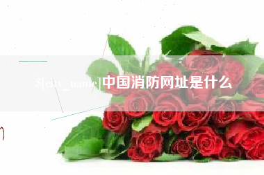 大理中国消防网址是什么