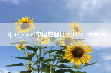 大理中国地图比例尺1：22000000