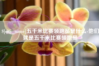 大理五千米比赛领跑员是什么-他们就是五千米比赛领跑员