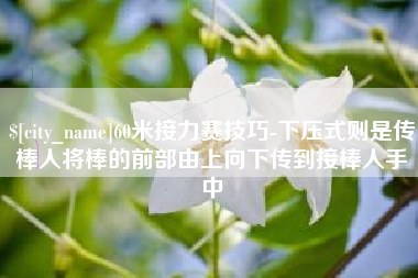 大理60米接力赛技巧-下压式则是传棒人将棒的前部由上向下传到接棒人手中