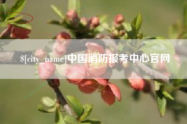 大理中国消防报考中心官网