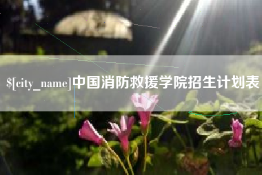大理中国消防救援学院招生计划表