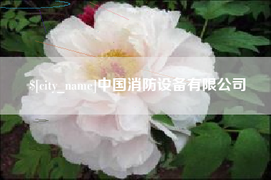 大理中国消防设备有限公司