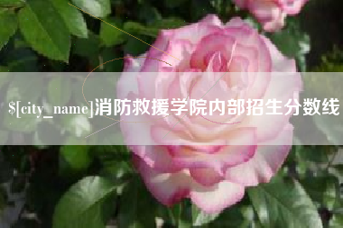 大理消防救援学院内部招生分数线