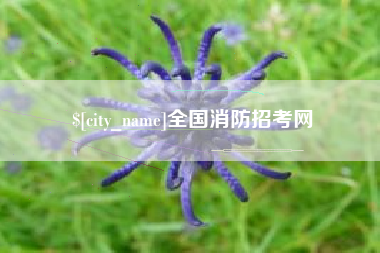 大理全国消防招考网