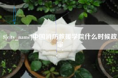 大理中国消防救援学院什么时候政审