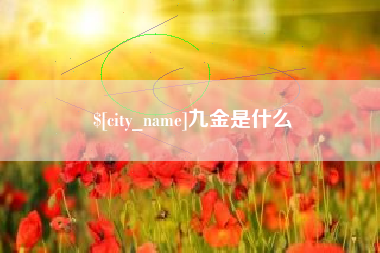 大理九金是什么