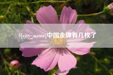 大理中国金牌有几枚了