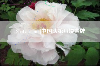 大理中国队第八块金牌