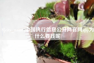 大理中国执行信息公开网官网app为什么要钱呢